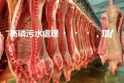 “高磷污水處理，環(huán)保先鋒，守護(hù)碧水藍(lán)天！”